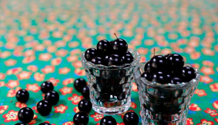 Read more about the article Gin Tonica com Licor de Jabuticaba, Pequena e Saborosa!