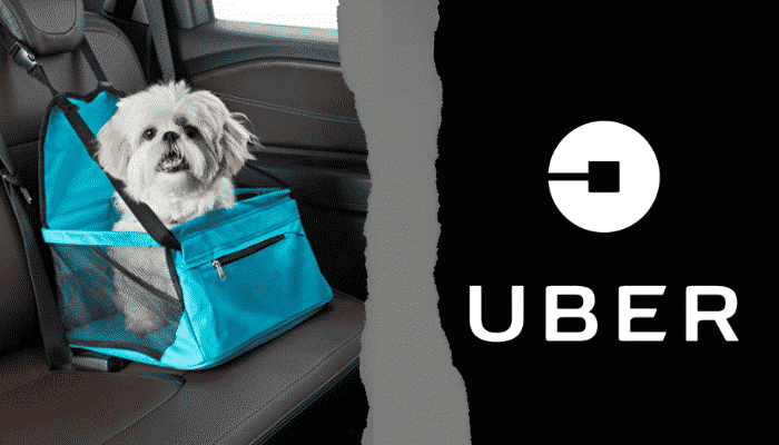 Leia mais sobre o artigo Uber aceita cachorros? Saiba mais sobre transporte de PET’s!