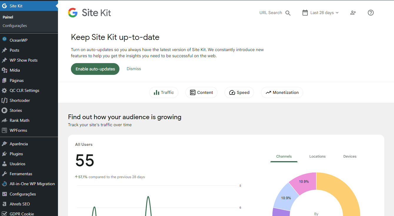 Google Analytics em 2023 - Painel do Site Kit
