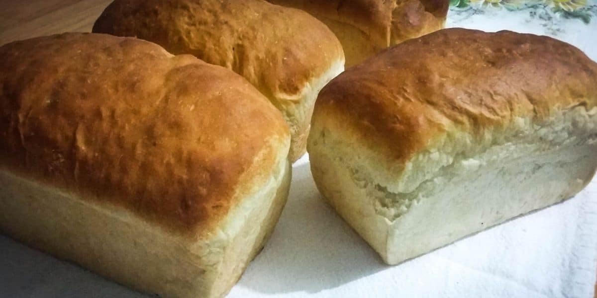 Você está visualizando atualmente Pão integral caseiro receita fácil de preparar o pão fica macio e fofinho