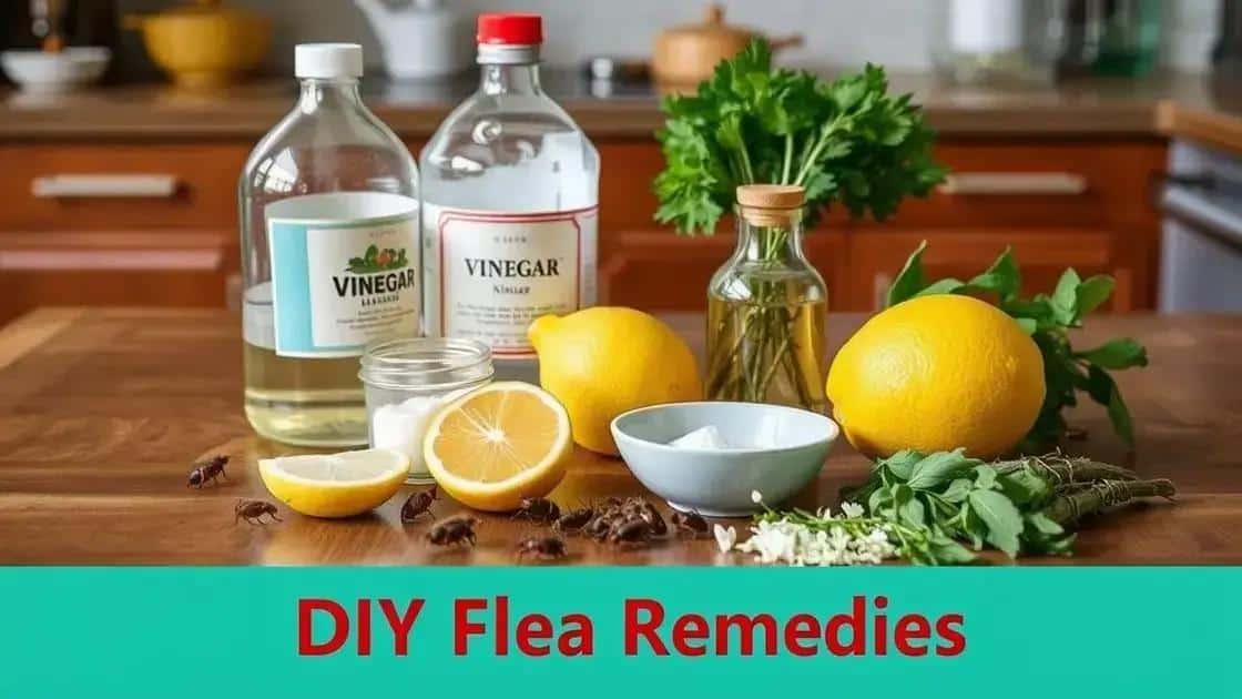 Remédios caseiros: como utilizar ingredientes da sua casa
