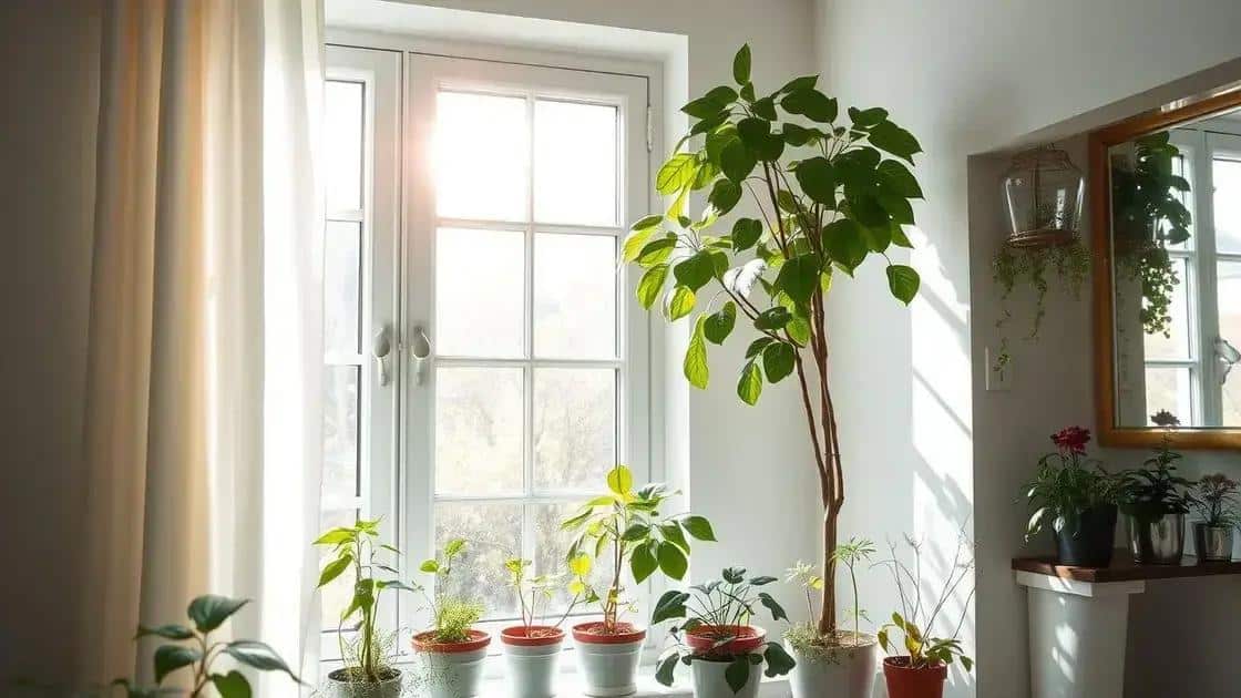 como otimizar a iluminação natural