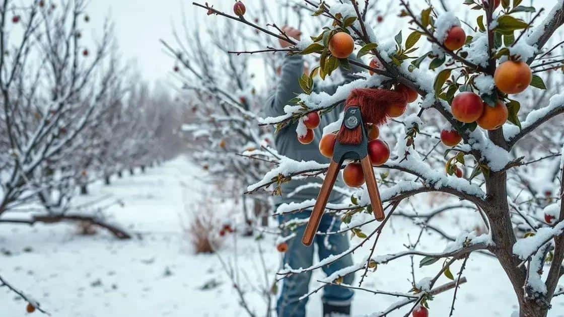 No momento, você está visualizando Poda de Inverno: O Método que Faz suas Árvores Frutíferas Produzirem 40% Mais na Próxima Temporada