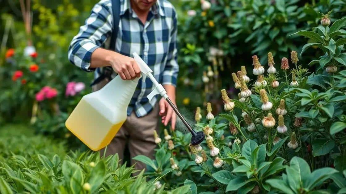 Dicas de aplicação do chá de alho nas plantas