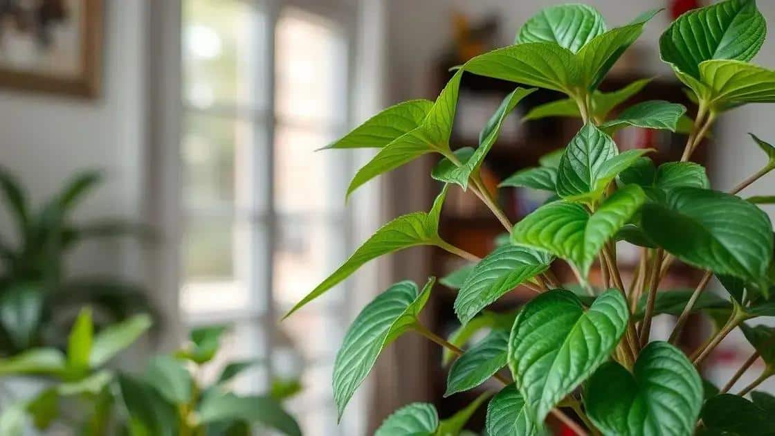 Leia mais sobre o artigo Sinais de que sua planta está saudável