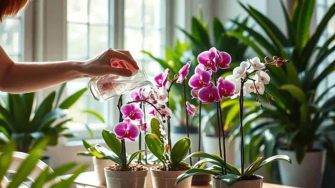 como regar orquídeas corretamente