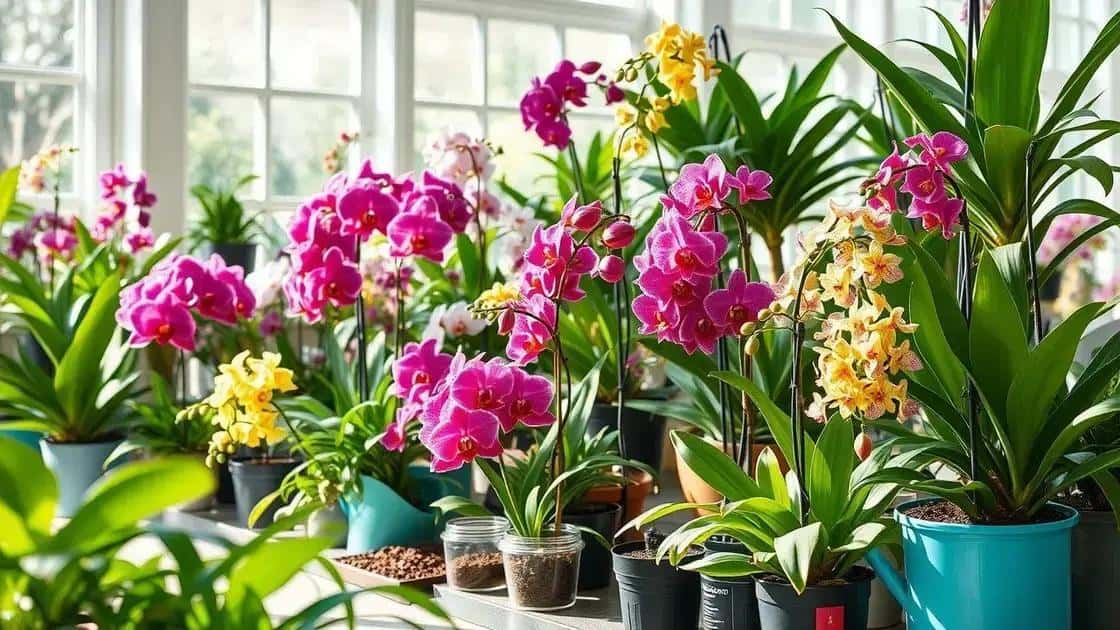 adubação simples para orquídeas saudáveis