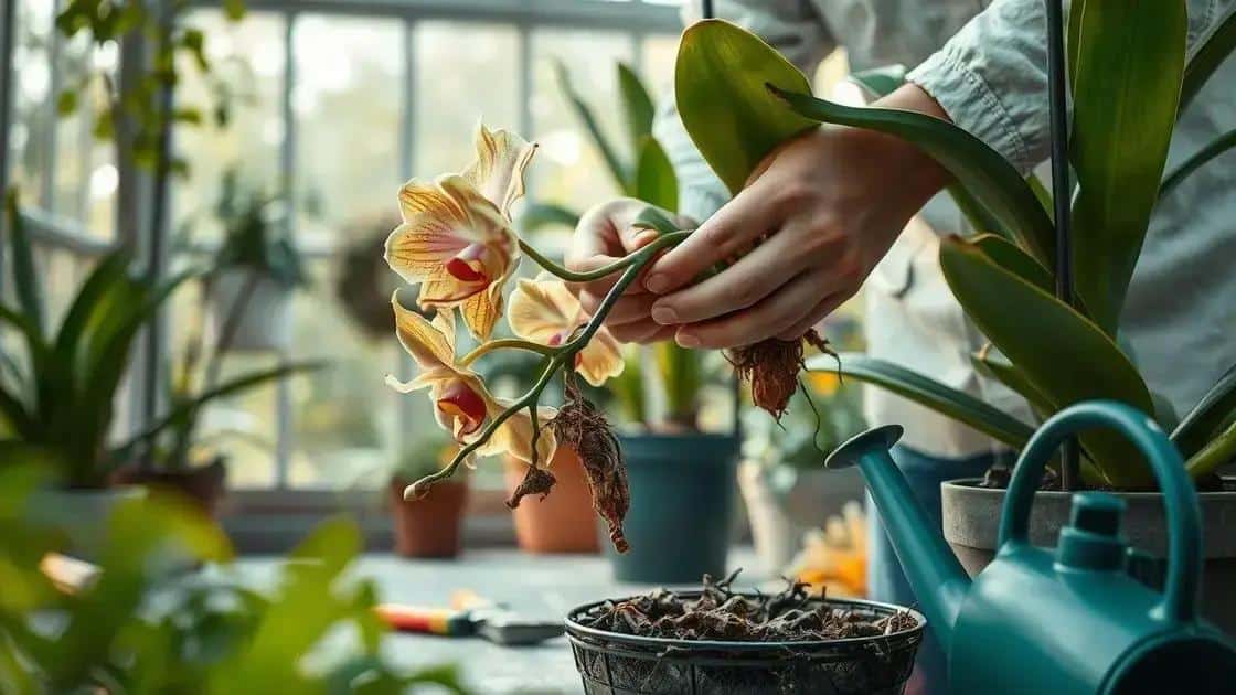 dicas práticas para salvar orquídeas doentes