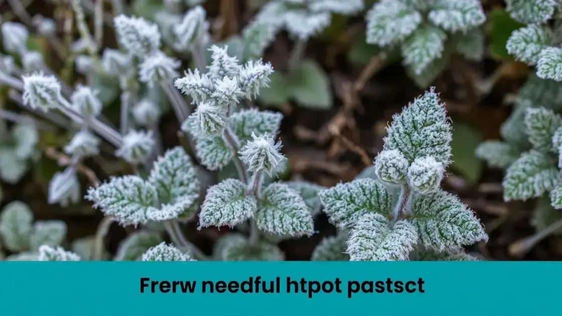 protecoes simples e eficazes para os dias mais frios