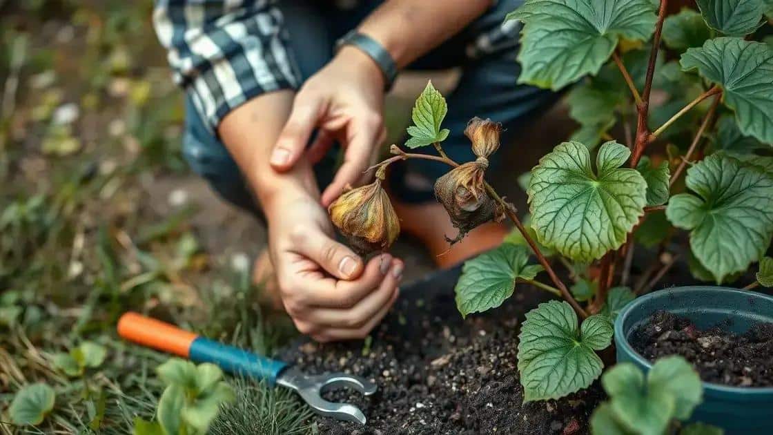 socorro verde salve suas plantas debilitadas