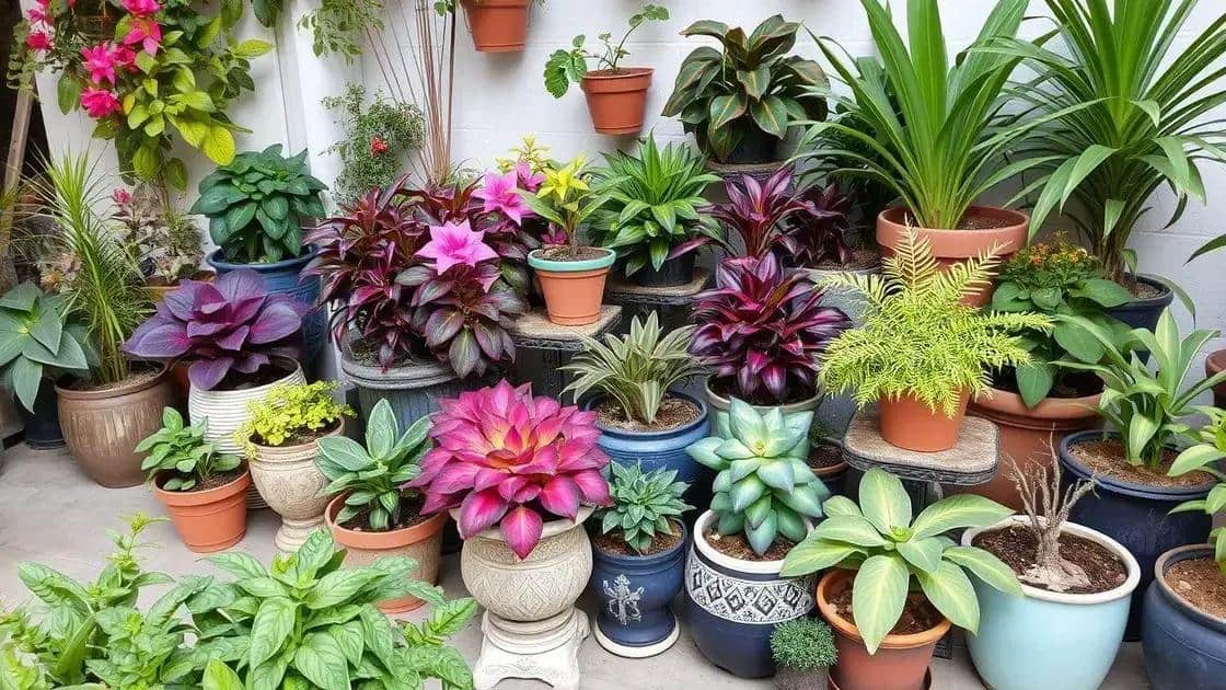 Combinações de cores e estilos na decoração vegetal