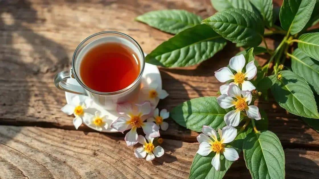 Preparando chás e infusões com ervas anticâncer