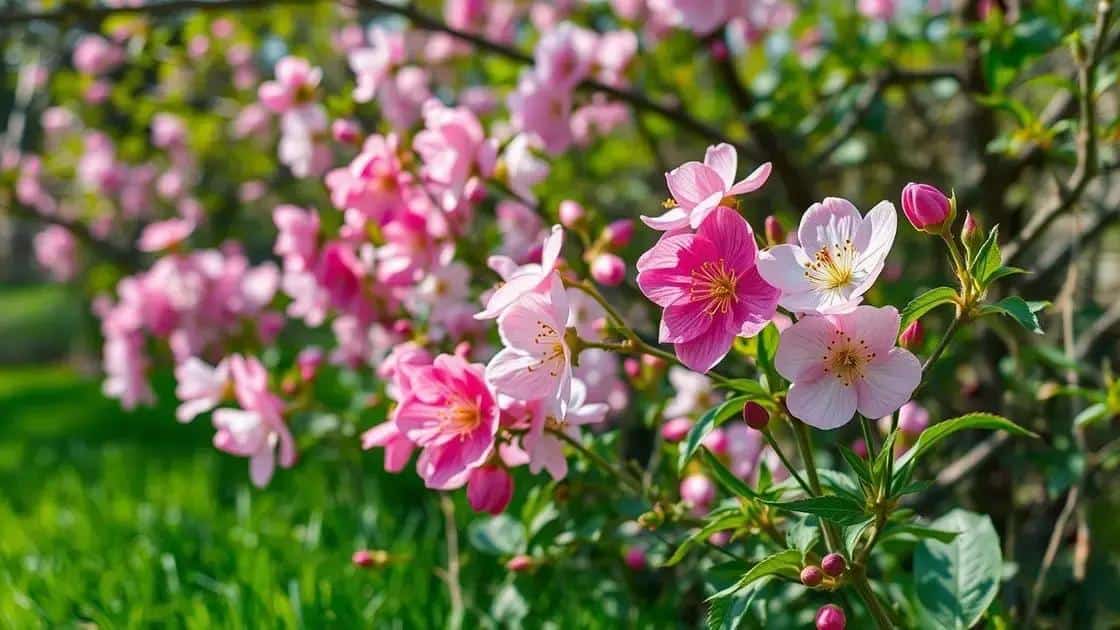 o que fazer para renovar seu jardim apos o inverno