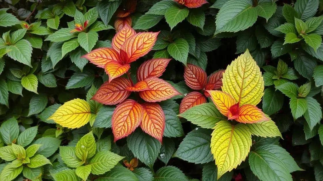 Erros comuns ao esquecer a drenagem