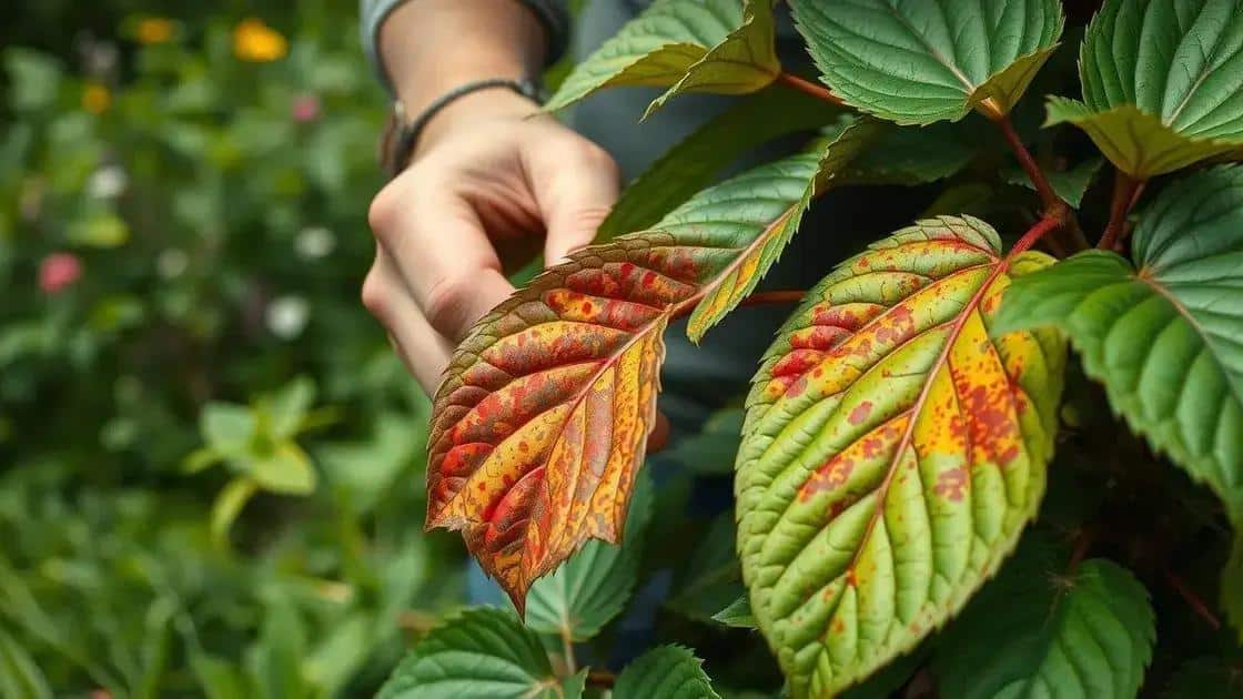 Identificando sinais de plantas quase mortas